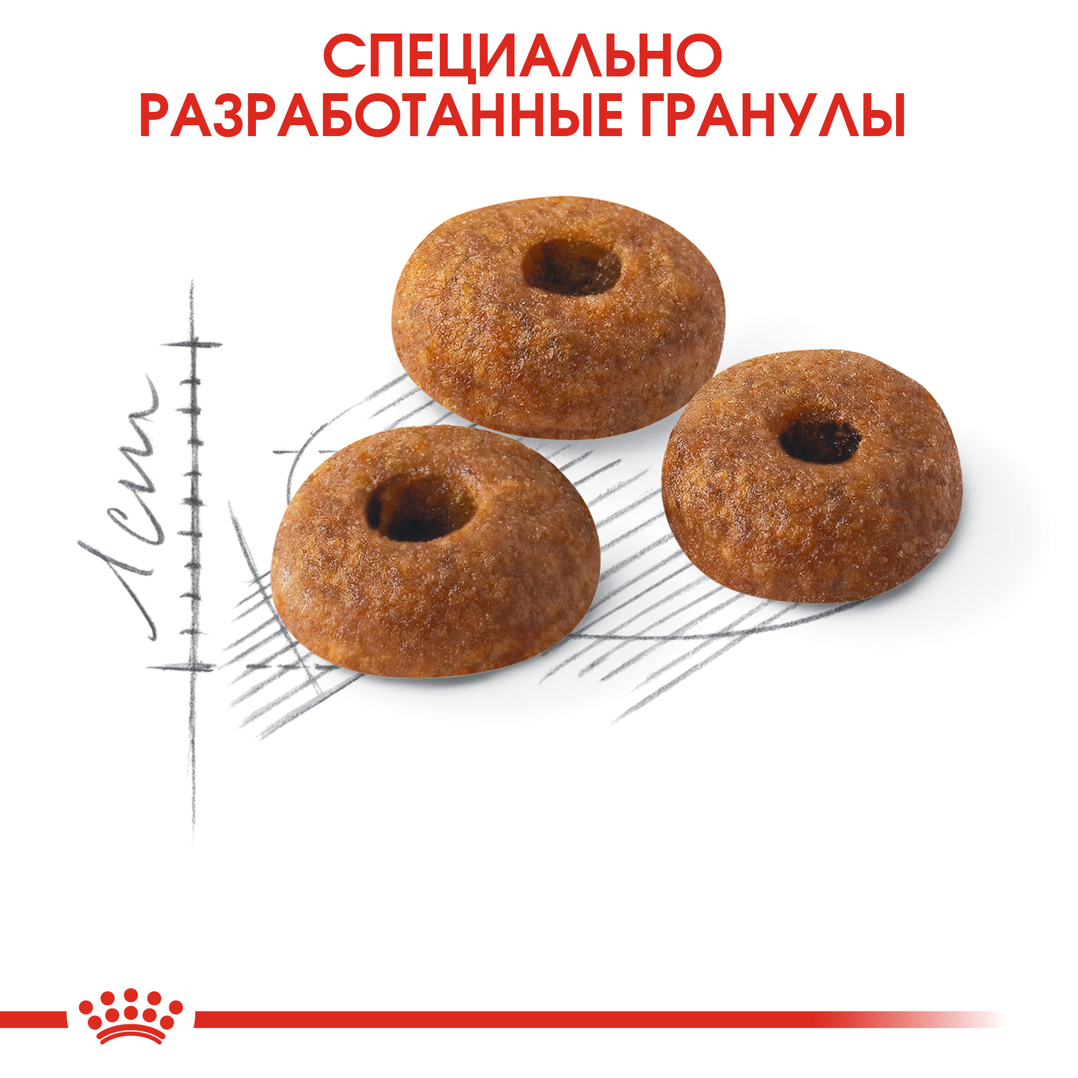 5_RC-FHN-Fit32-CV-Eretailkit-3__ph