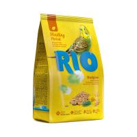 RIO_feed_budgies_mp_face