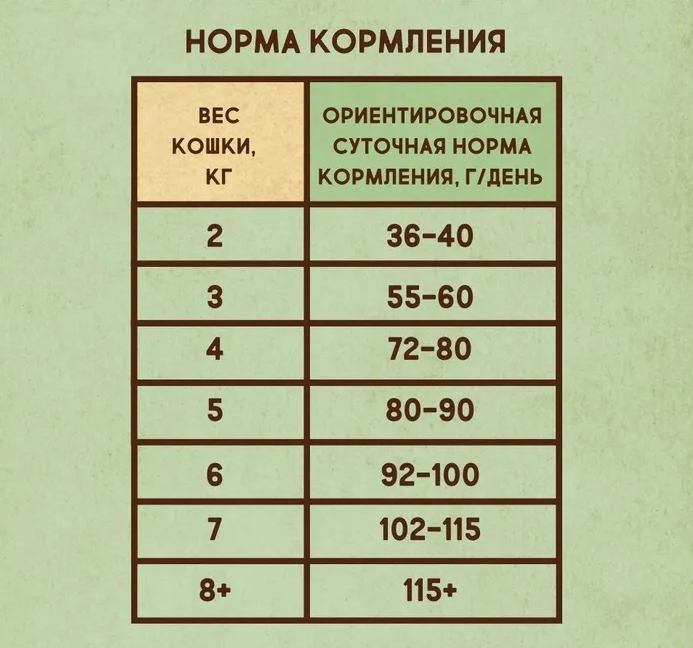 93b89f5ee9