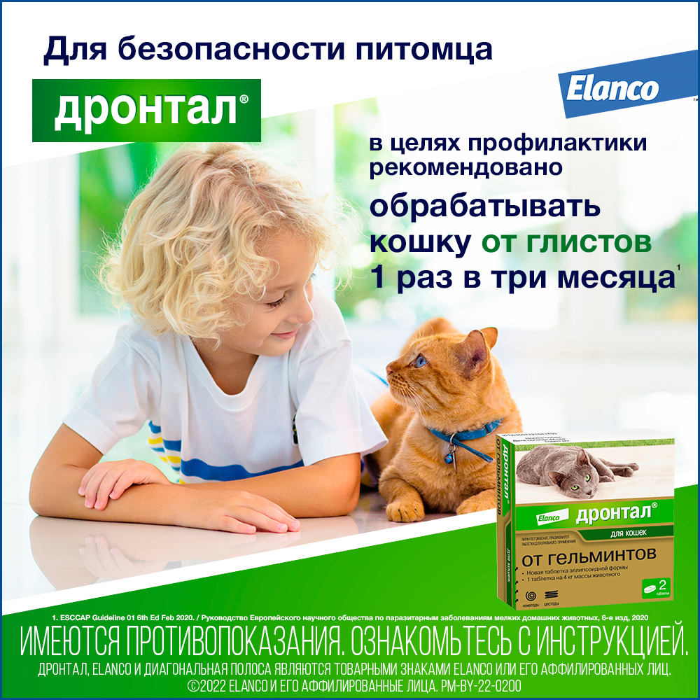 8. Drontal cats_recom