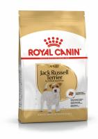 ad-jack-russel-packshot-bhn18