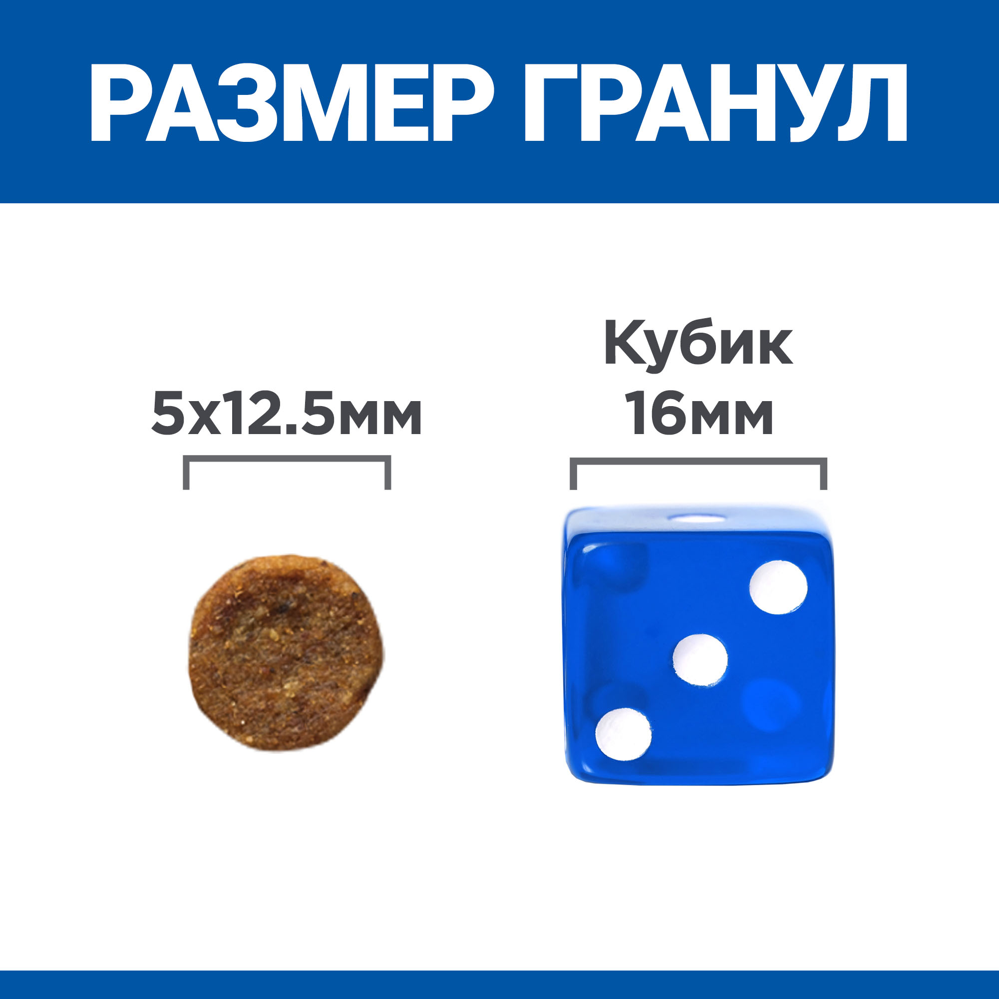607069_4