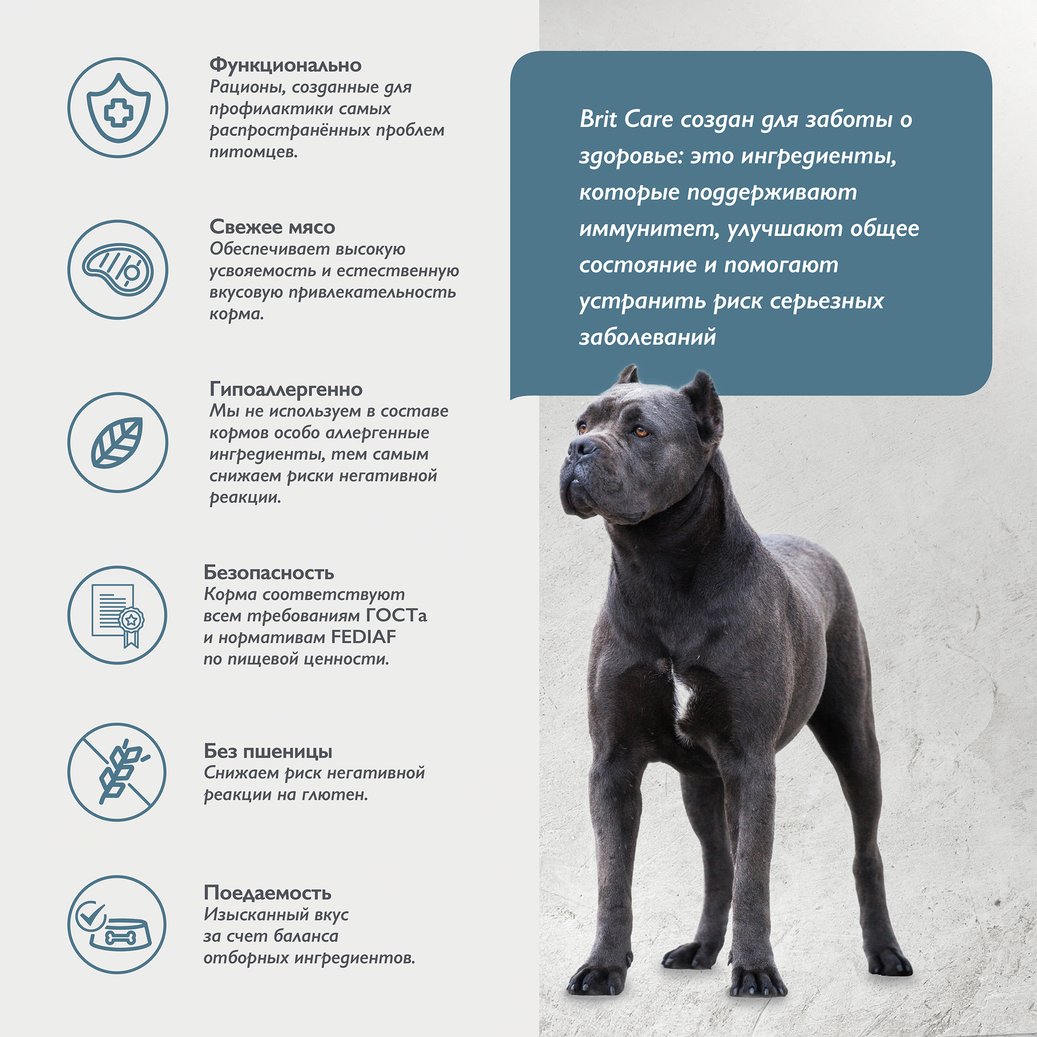 dog_adult_L_chondroprotectors-03