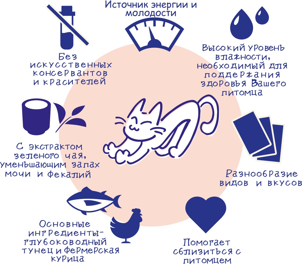 IC-16_2