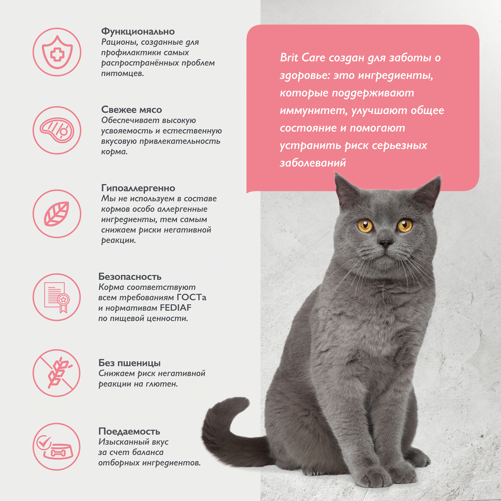 cat_sterilised_metabolic-03
