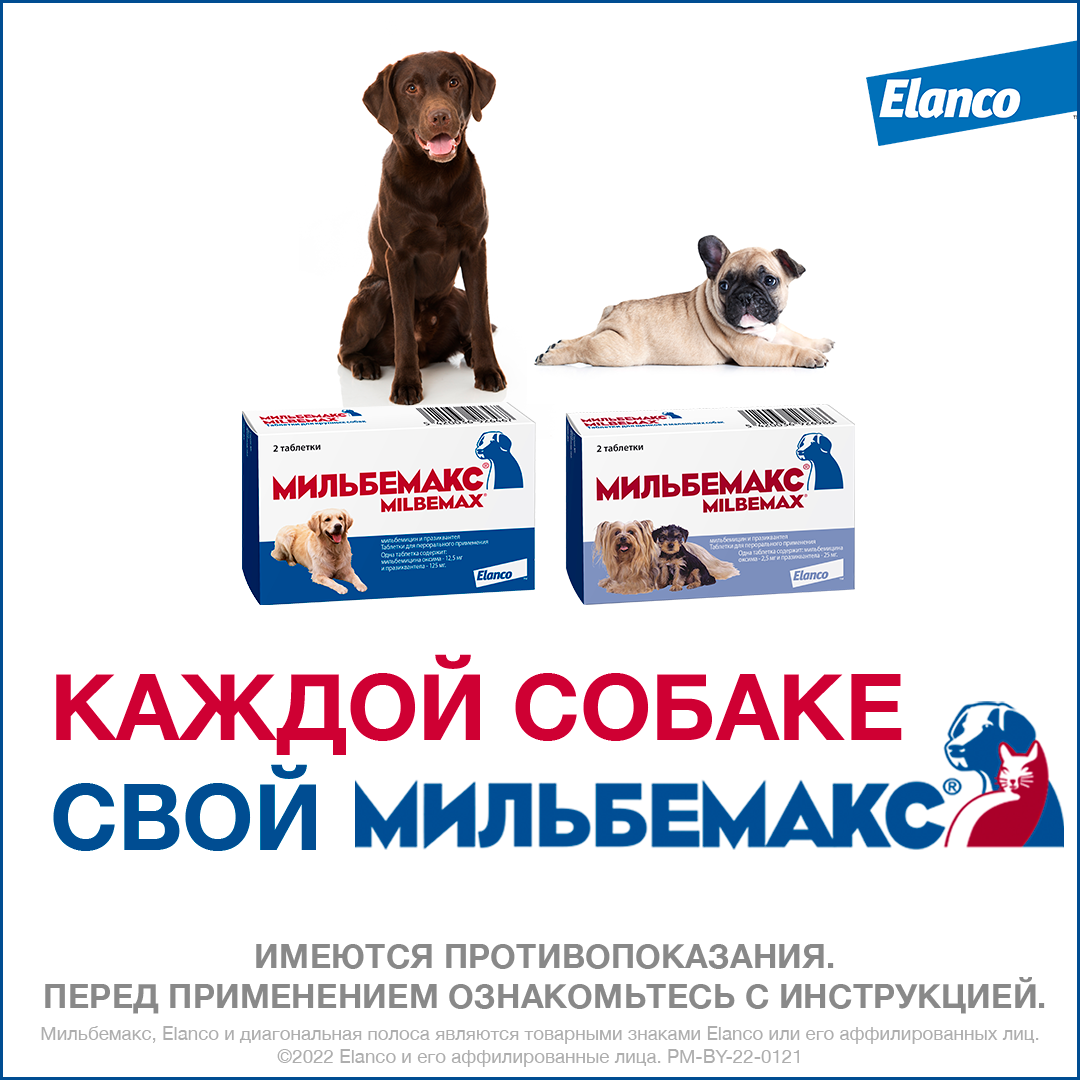 18. Milbemax_big dogs_rich_8_all packs