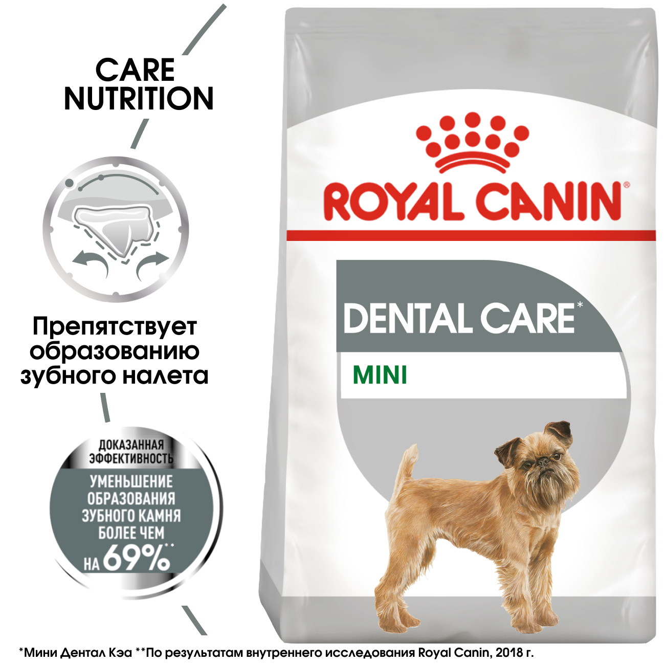 1_MINI DENTAL CARE