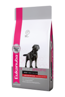 labrador-adult-12kg-825x375-2 (1)