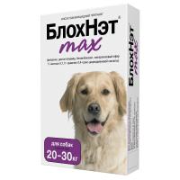 блохнэт 20-30