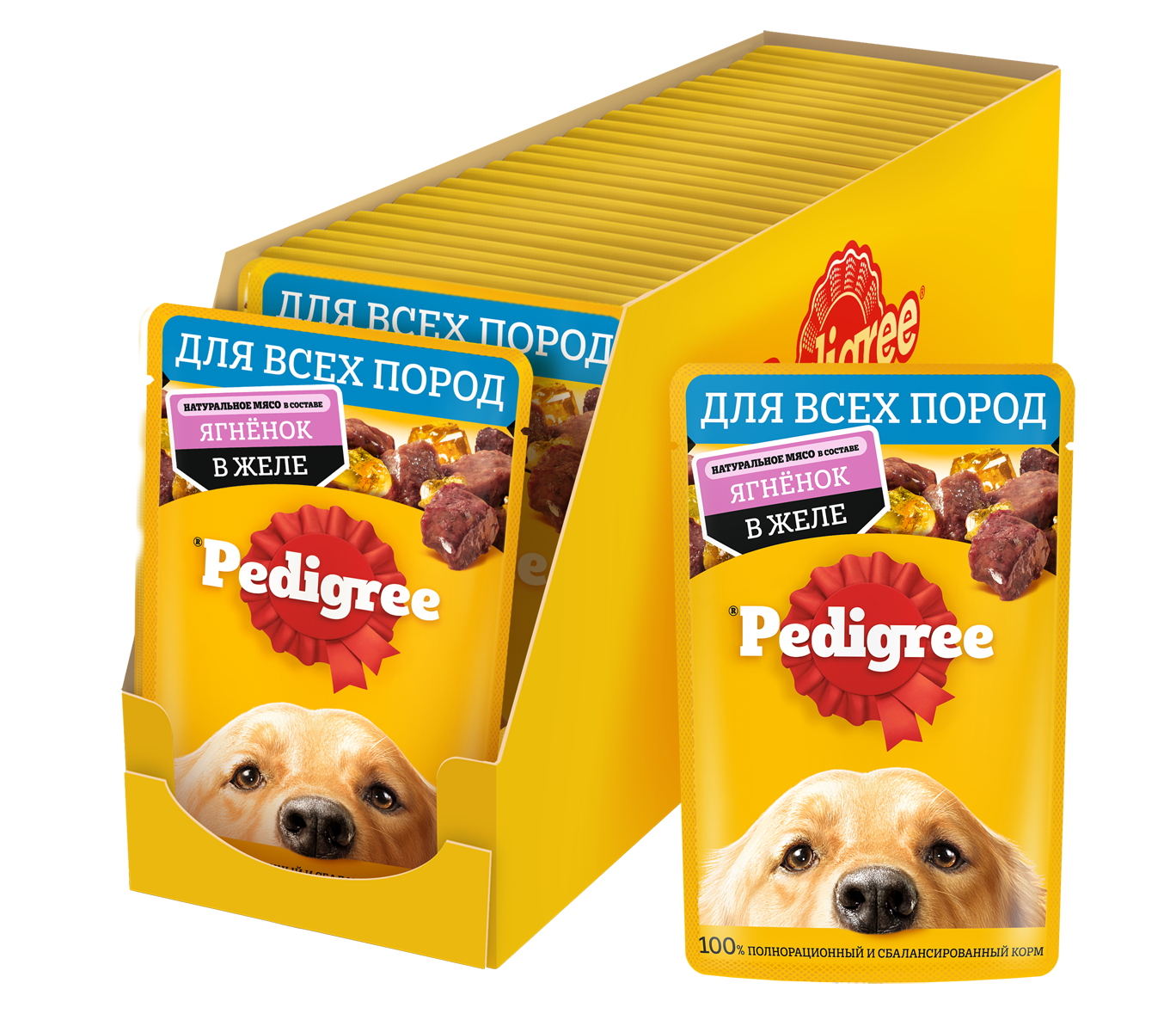 3D_PEDIGREE_Wet_Adult_Lamb_CIJ_85g_Tray