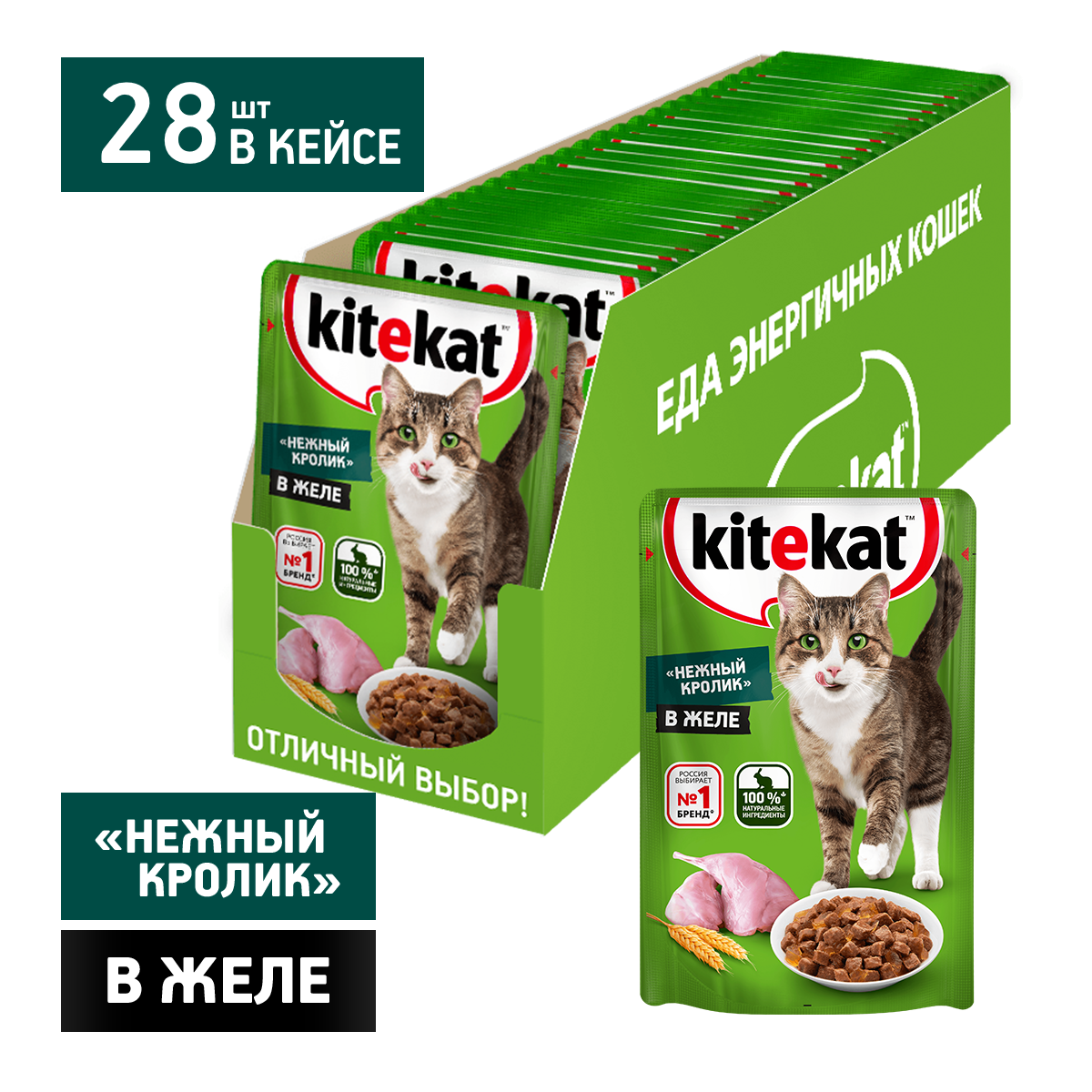 KEK_CIJ_Rabbit_Case