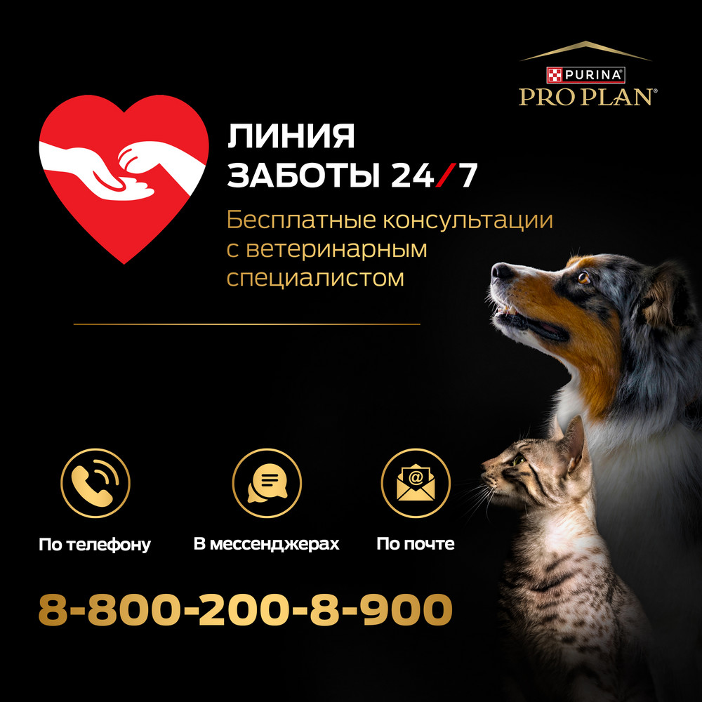 567a53cb-ba7a-4d9e-9282-1fb76a60829c