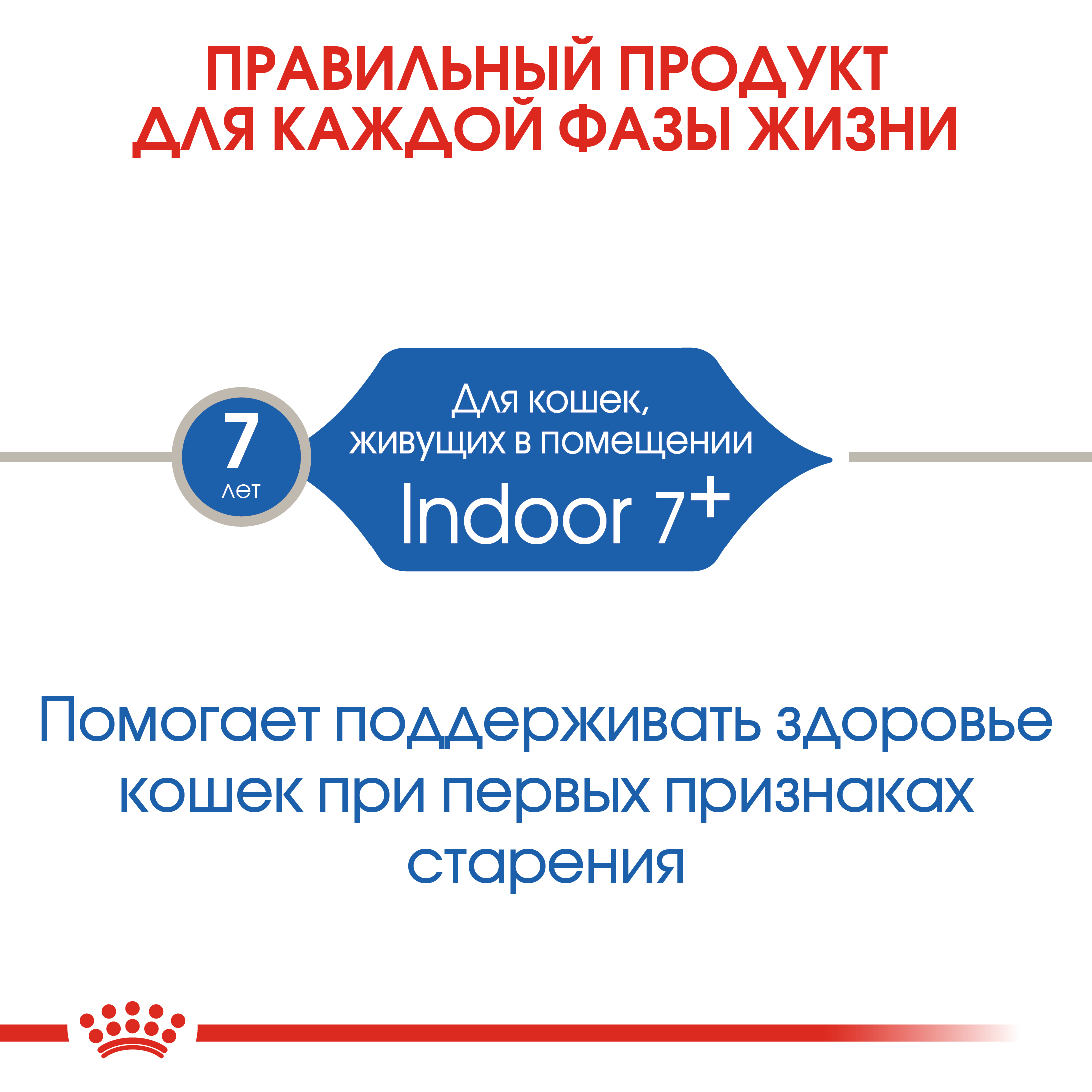 4_RC-FHN-Indoor7-CV-Eretailkit-1__ph