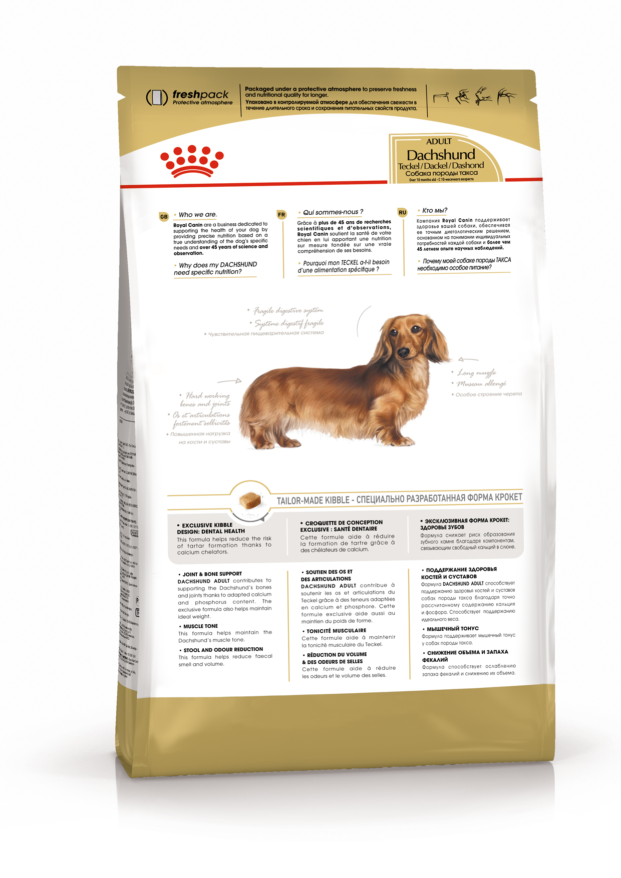 K_Dachshund_back