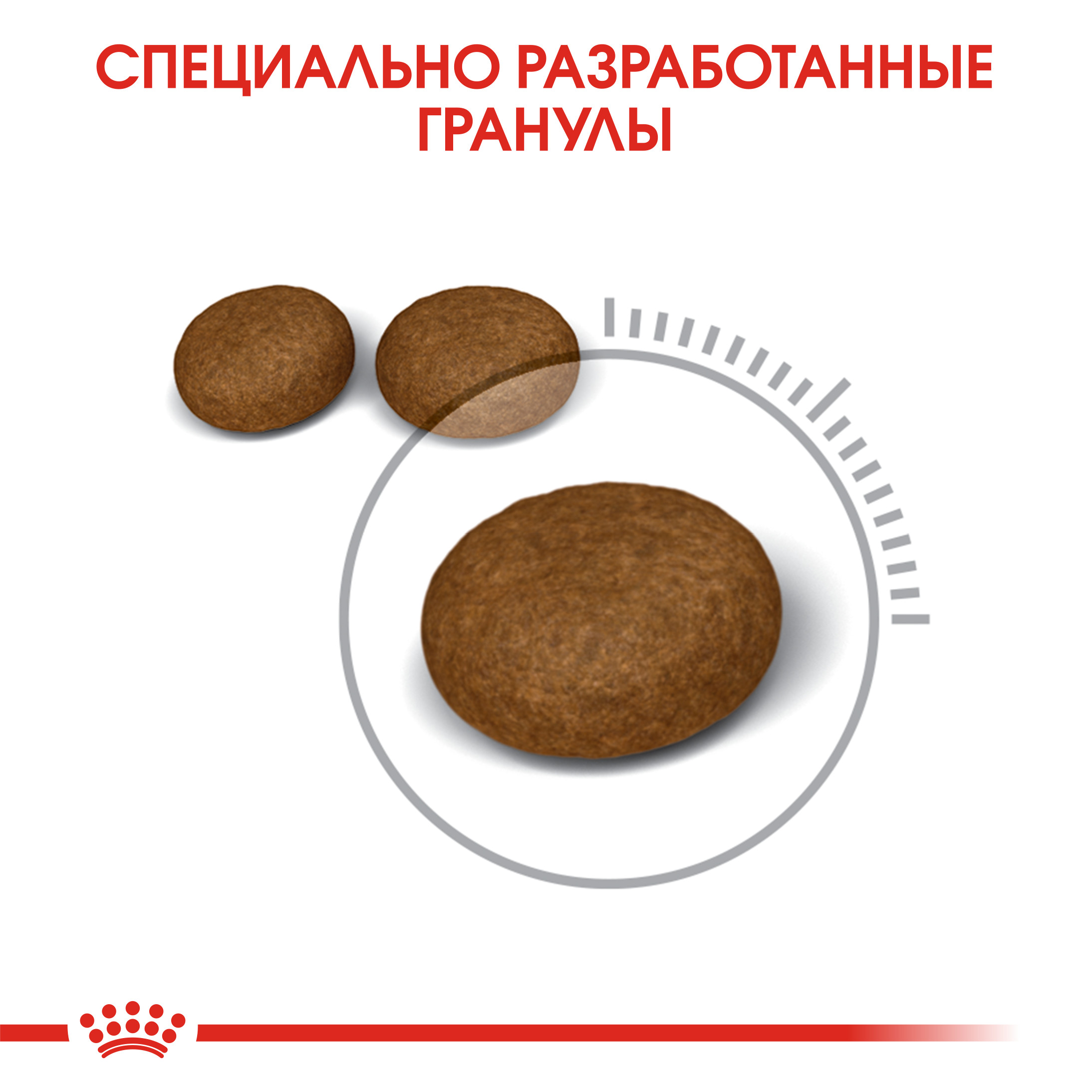 5_RC-FCN-Hair_Skin-CV-Eretailkit-3 RUS