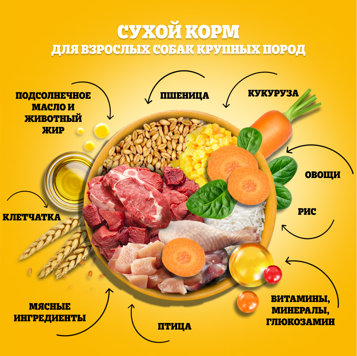 PDG_Dry_Ingredients_Large breeds