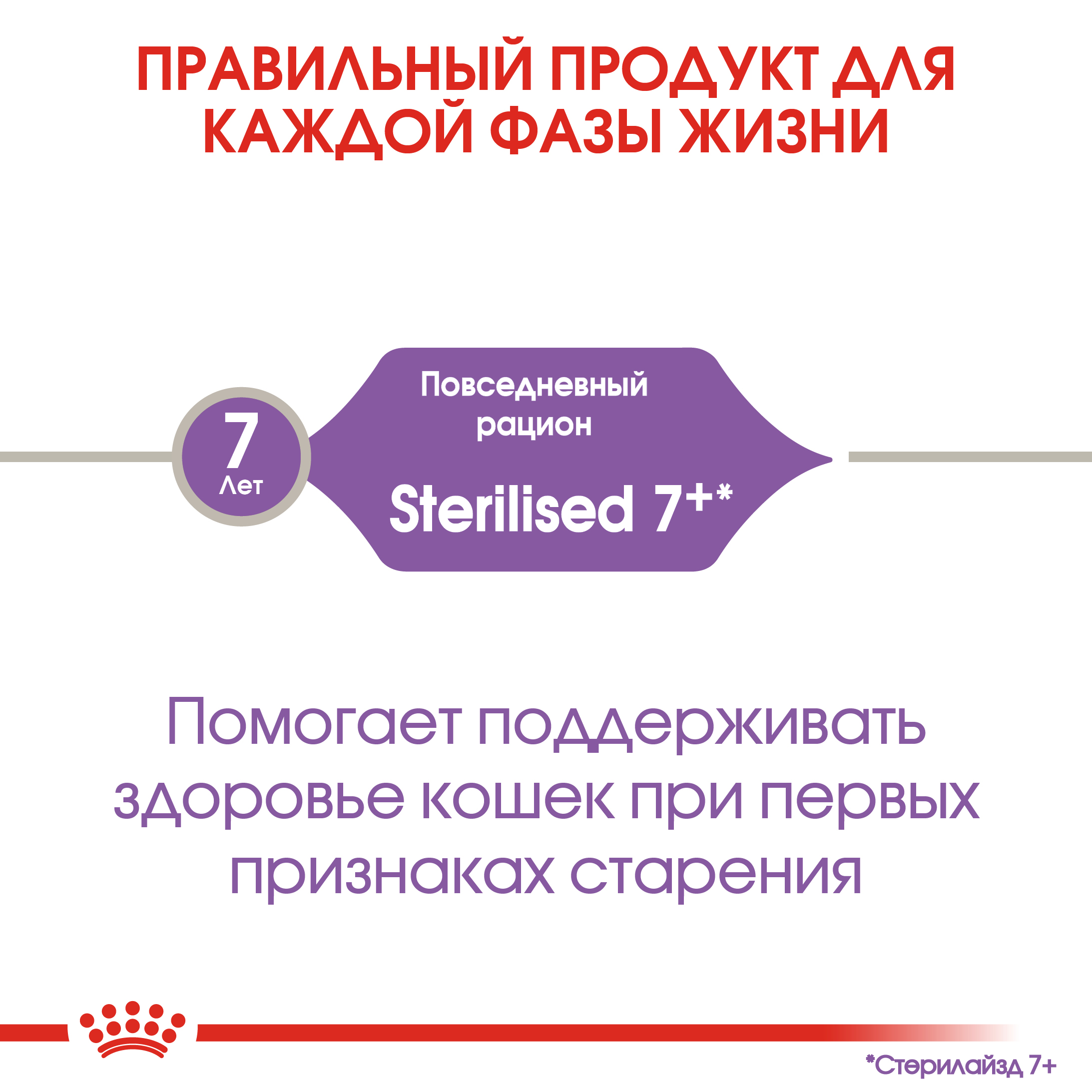 5_RC-FHN-Sterilised7-CV-Eretailkit-1__ph