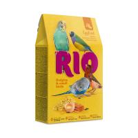 RIO_eggfood_budgies_face