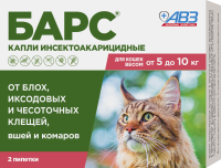 bars_kapli_ia_2021_cat_05-10