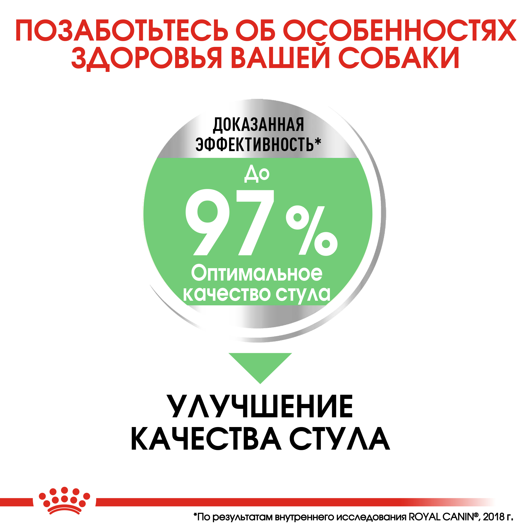 4_RC-CCN-DigestiveMaxi-CV-Eretailkit-3__ph
