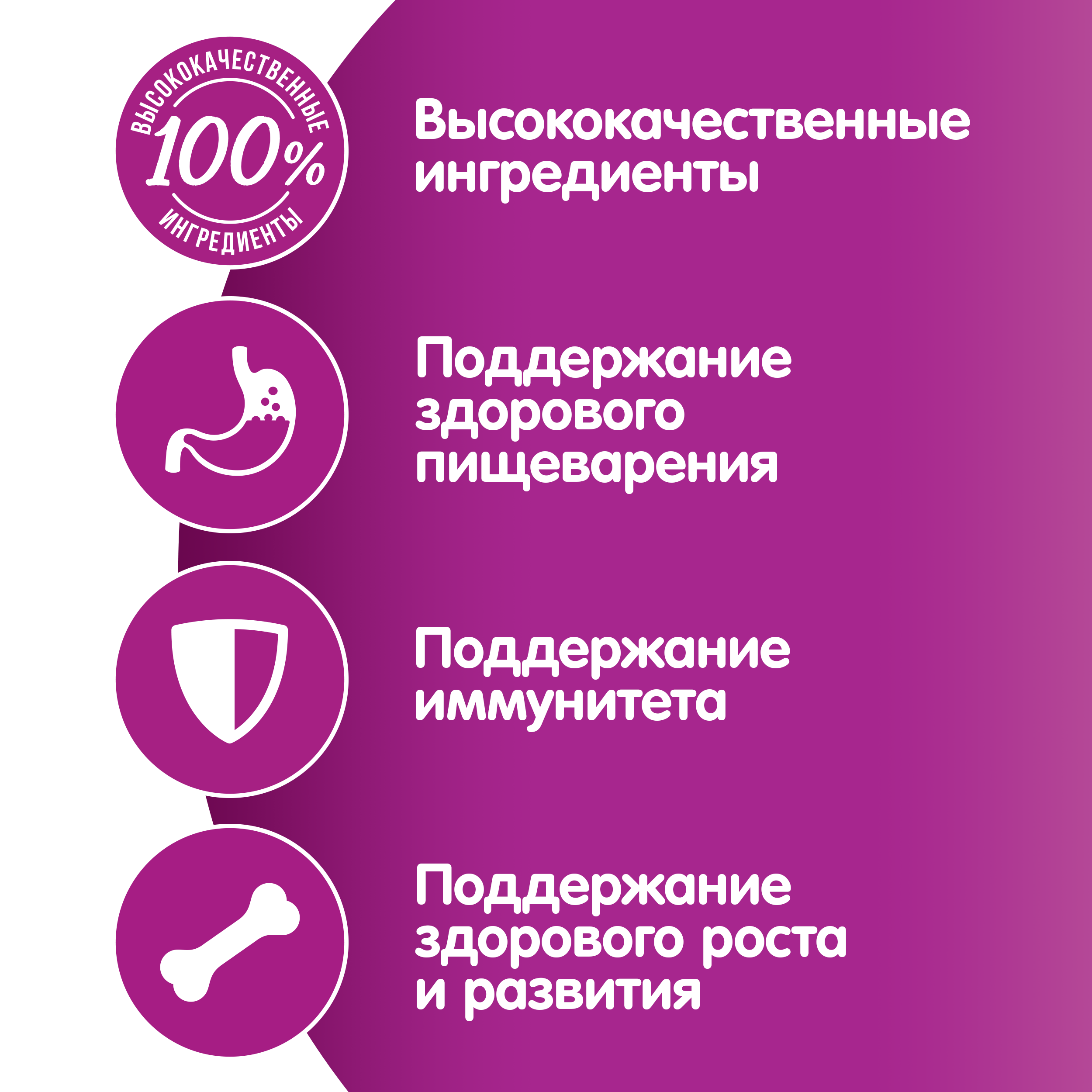 Whiskas влажный корм для котят, рагу с ягненком (28шт в уп) / 75 гр
