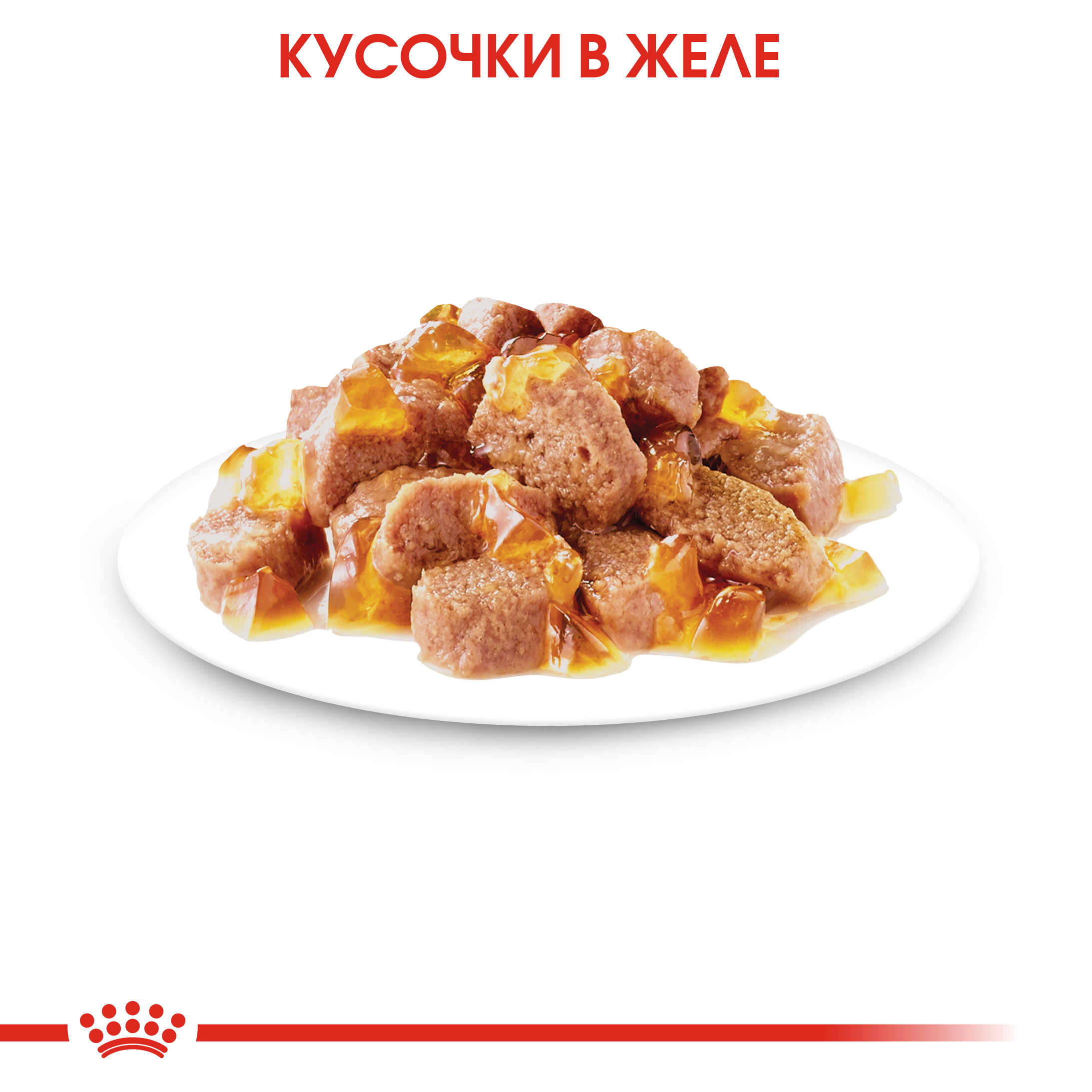 4_RC-FHN-Wet-InstinctiveJelly-CV-Eretailkit-3