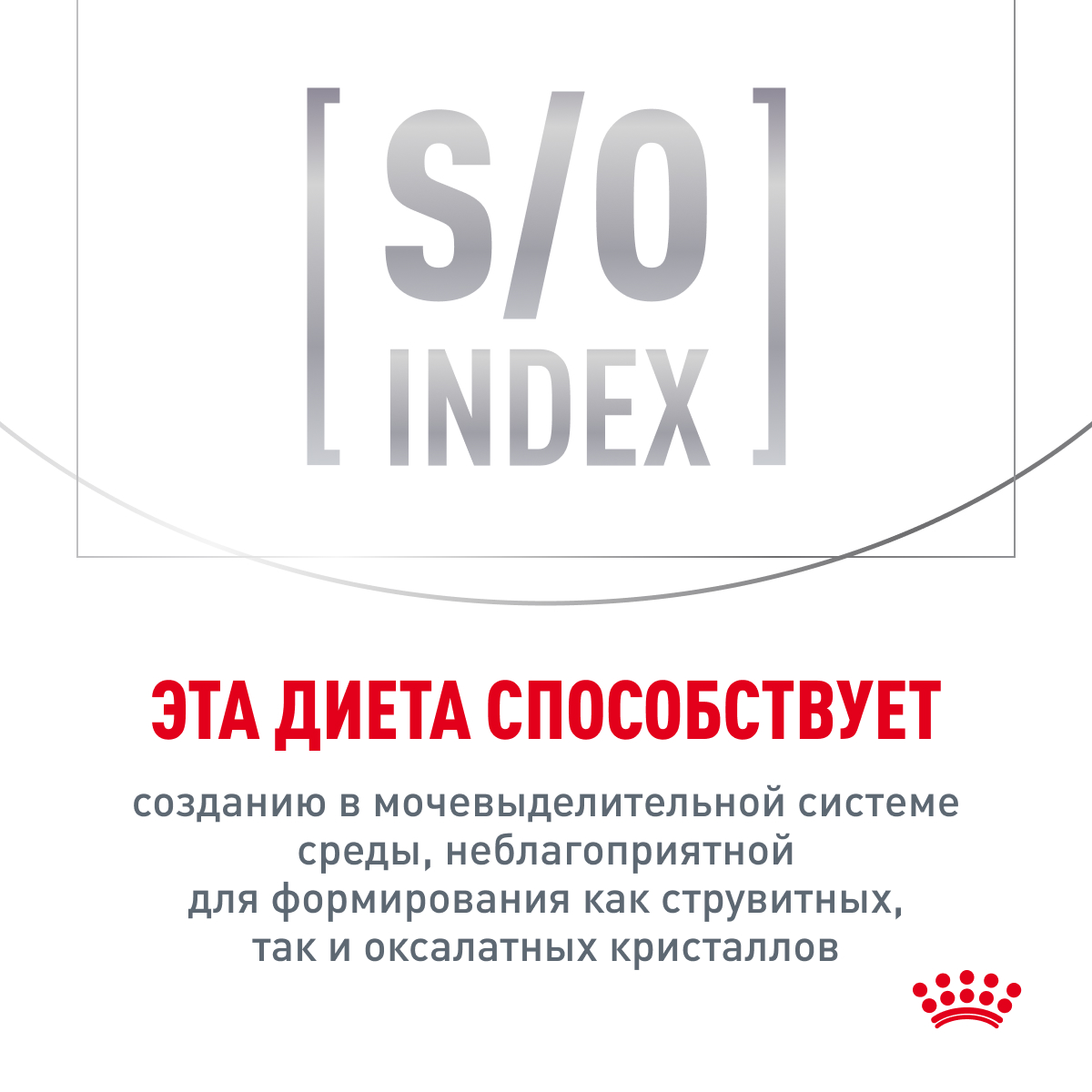 Cat_Satiety_weight_management_4