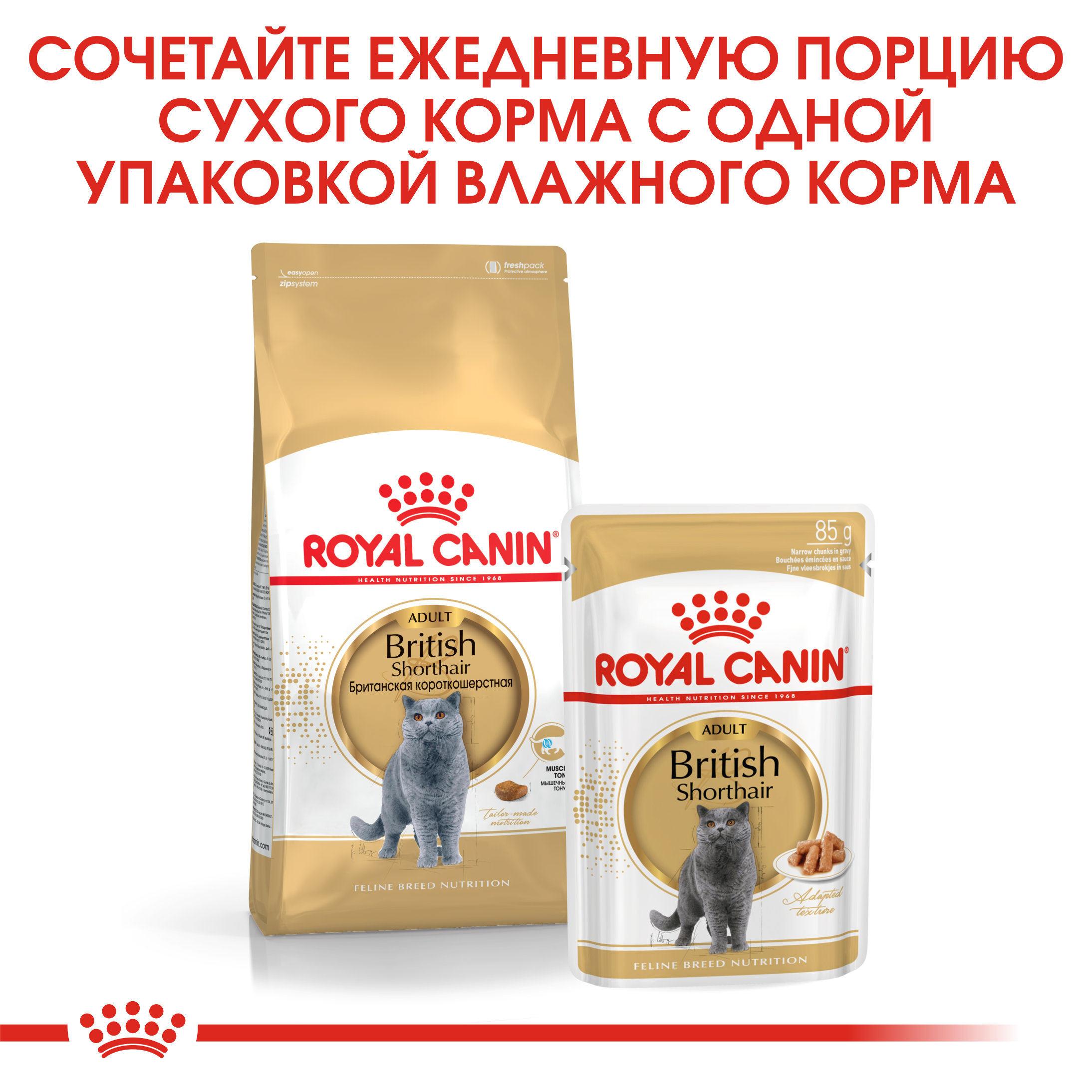 5_RC-FBN-BritishSH-CV-Eretailkit-4 RUS_new