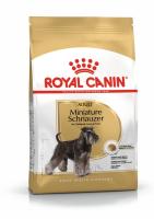 ad-schnauzer-packshot-bhn18