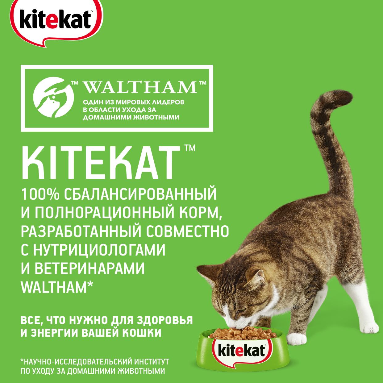 Kitekat влажный корм для взрослых кошек всех пород, говядина в желе (28шт в уп) / 85 гр