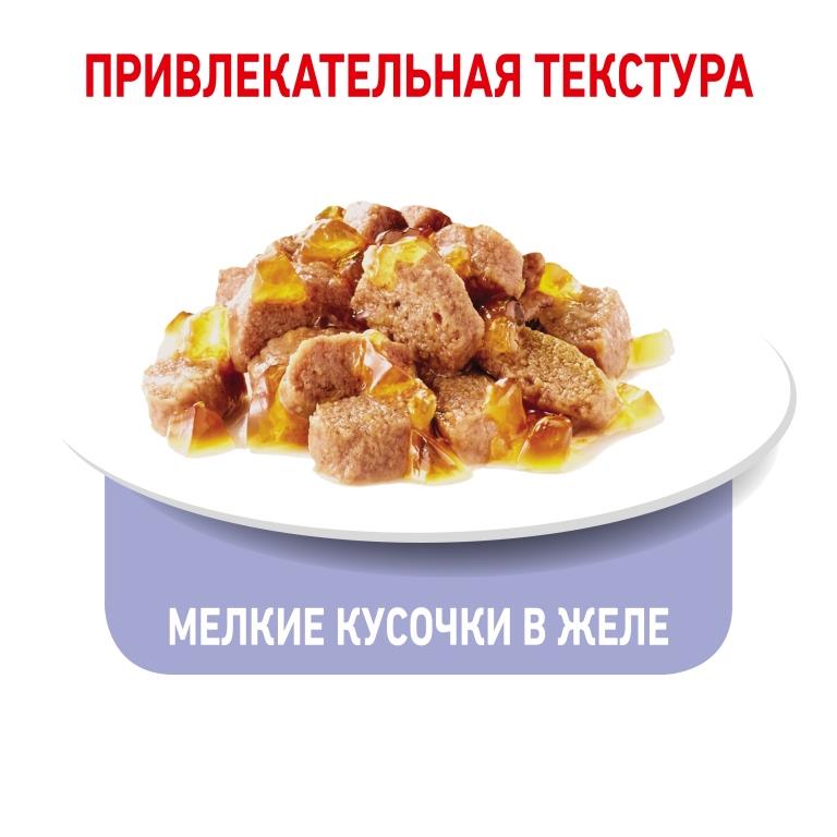 RC-SPT-WET-LightWeightJelly_rus5