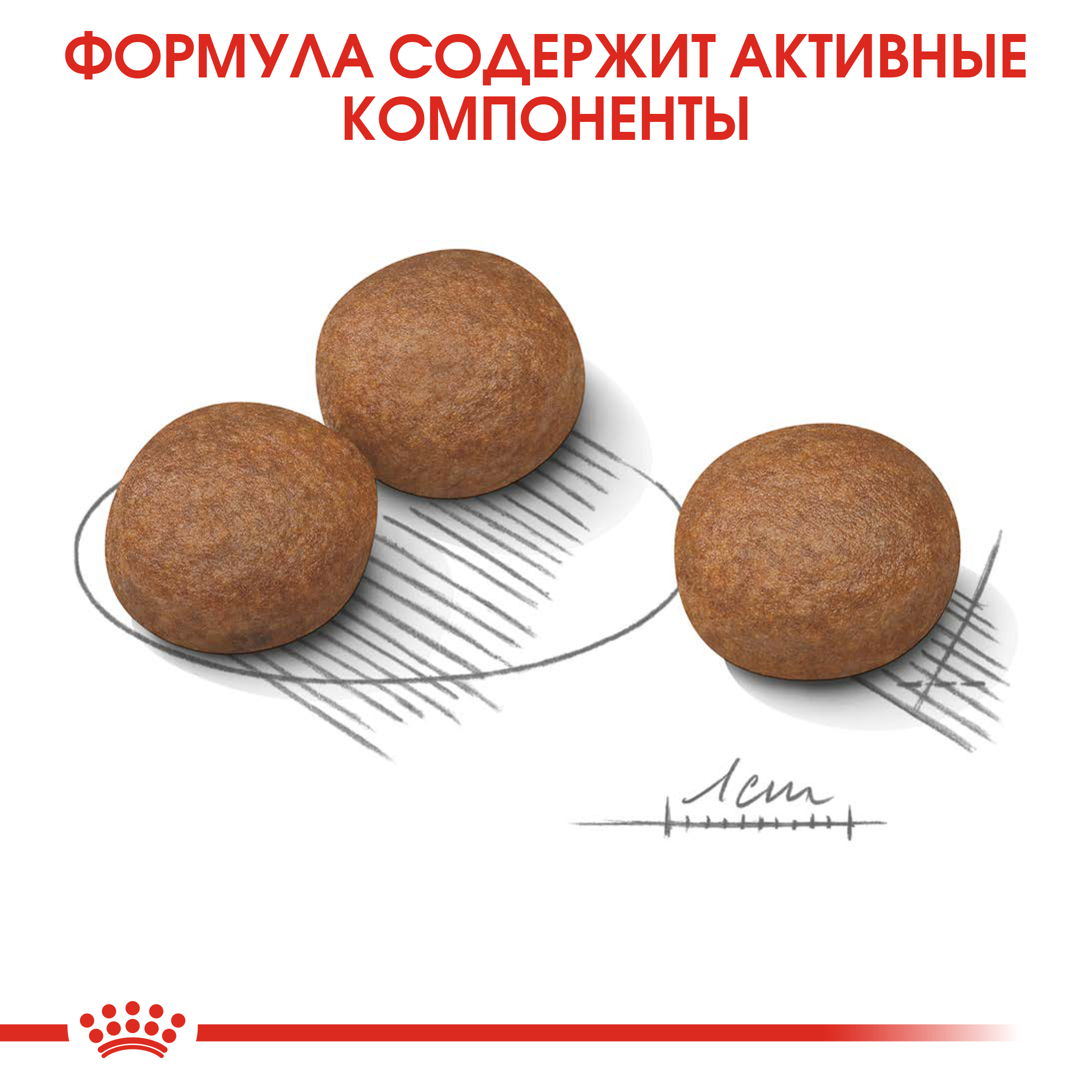 4_DigestiveMedium-CV-Eretailkit-5_ph