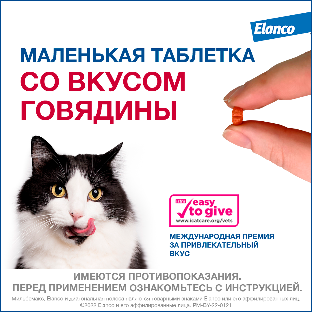 6. Milbemax_big cats_rich_6_tabl