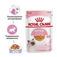 1_Kitten-Jelly_1200x1200_2