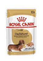 breed-18-dachsund-s-pouch-85