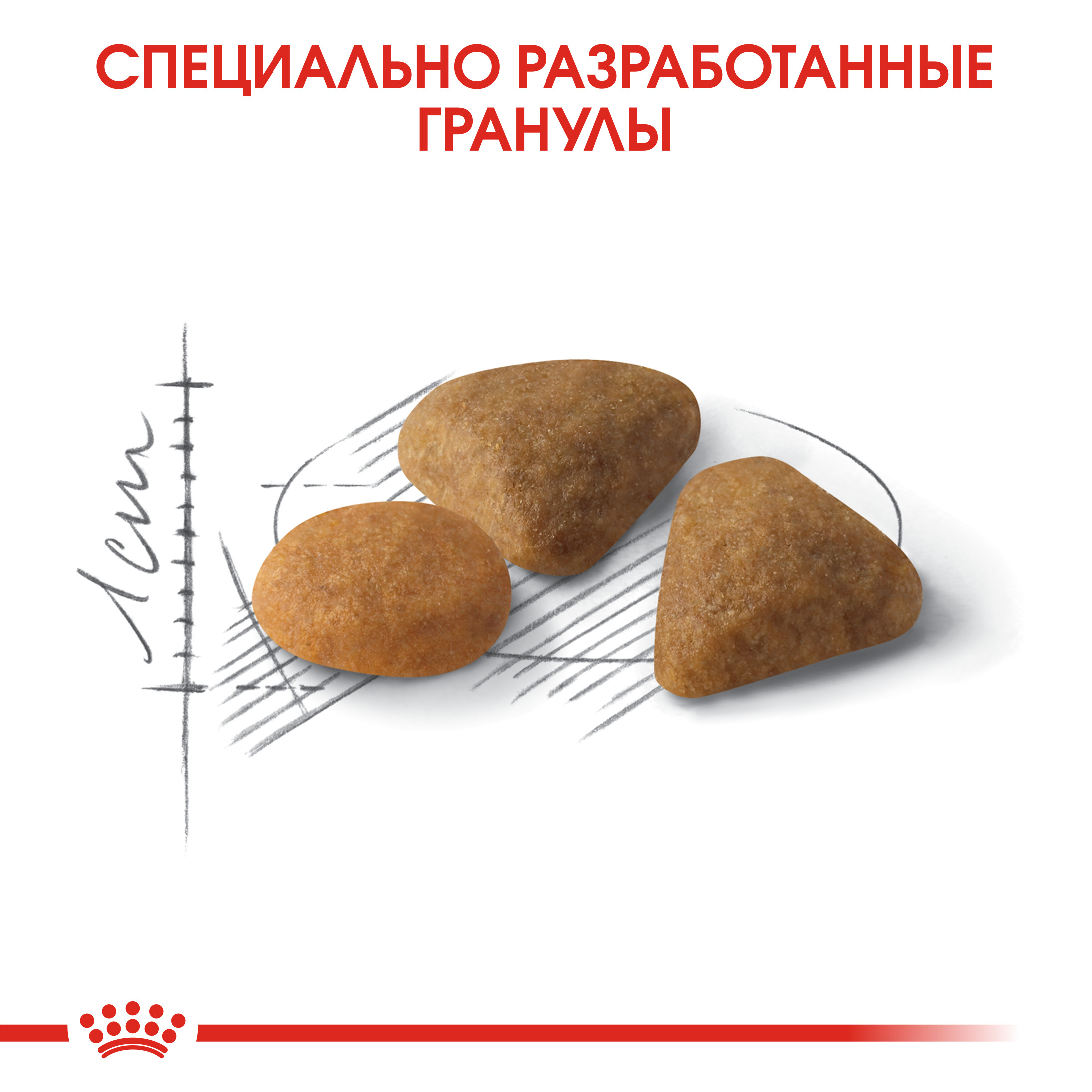 5_FHN-SavourExigent-CV-Eretailkit-3