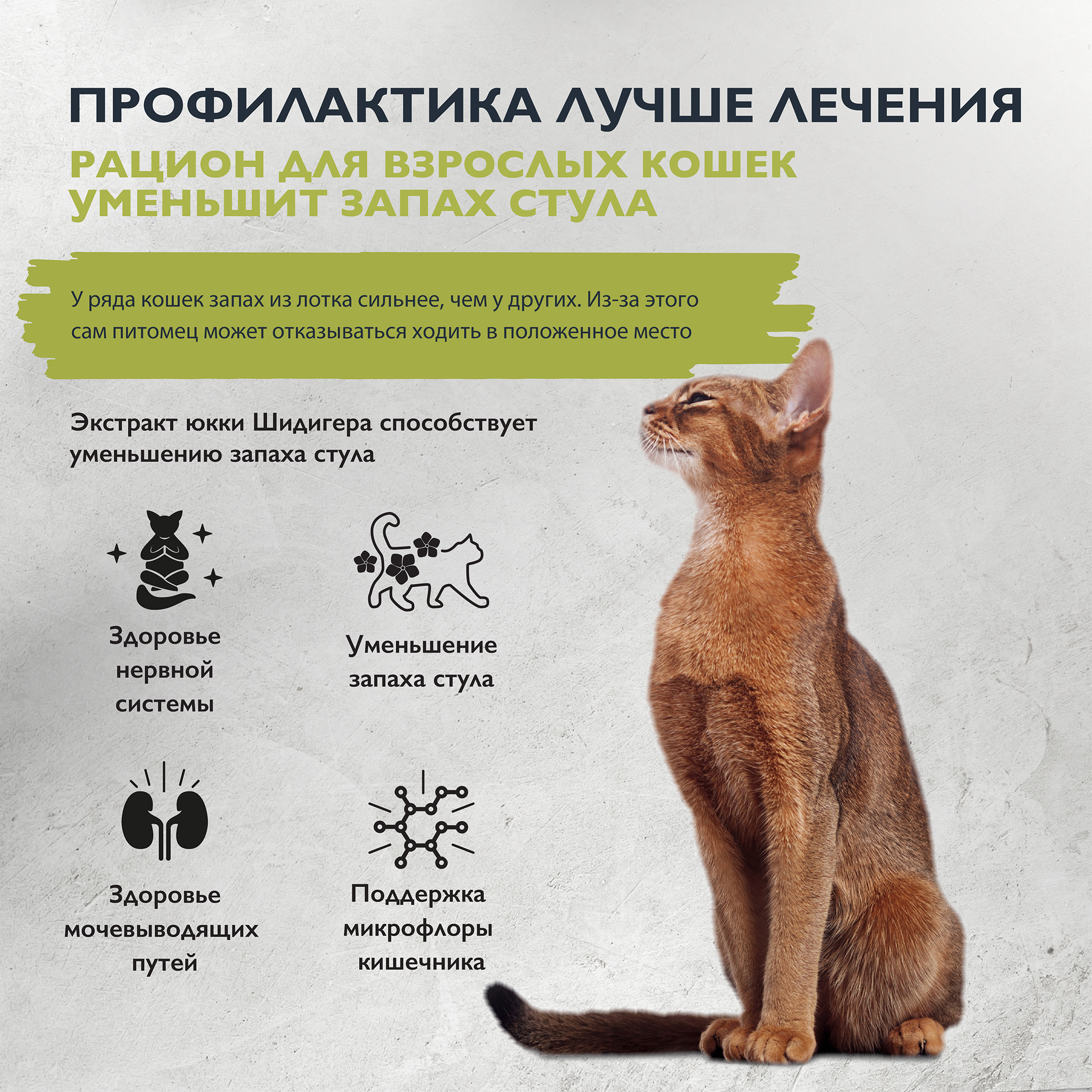 cat_indoor_stool_odour_reduction-02
