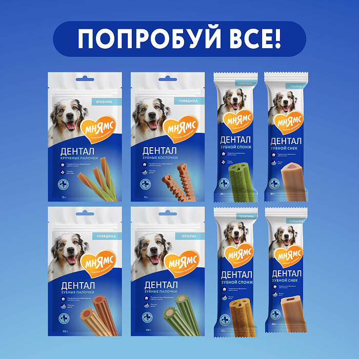 32fb11000288e7fa3203168d63c6c279