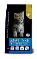 MATISSE KITTEN