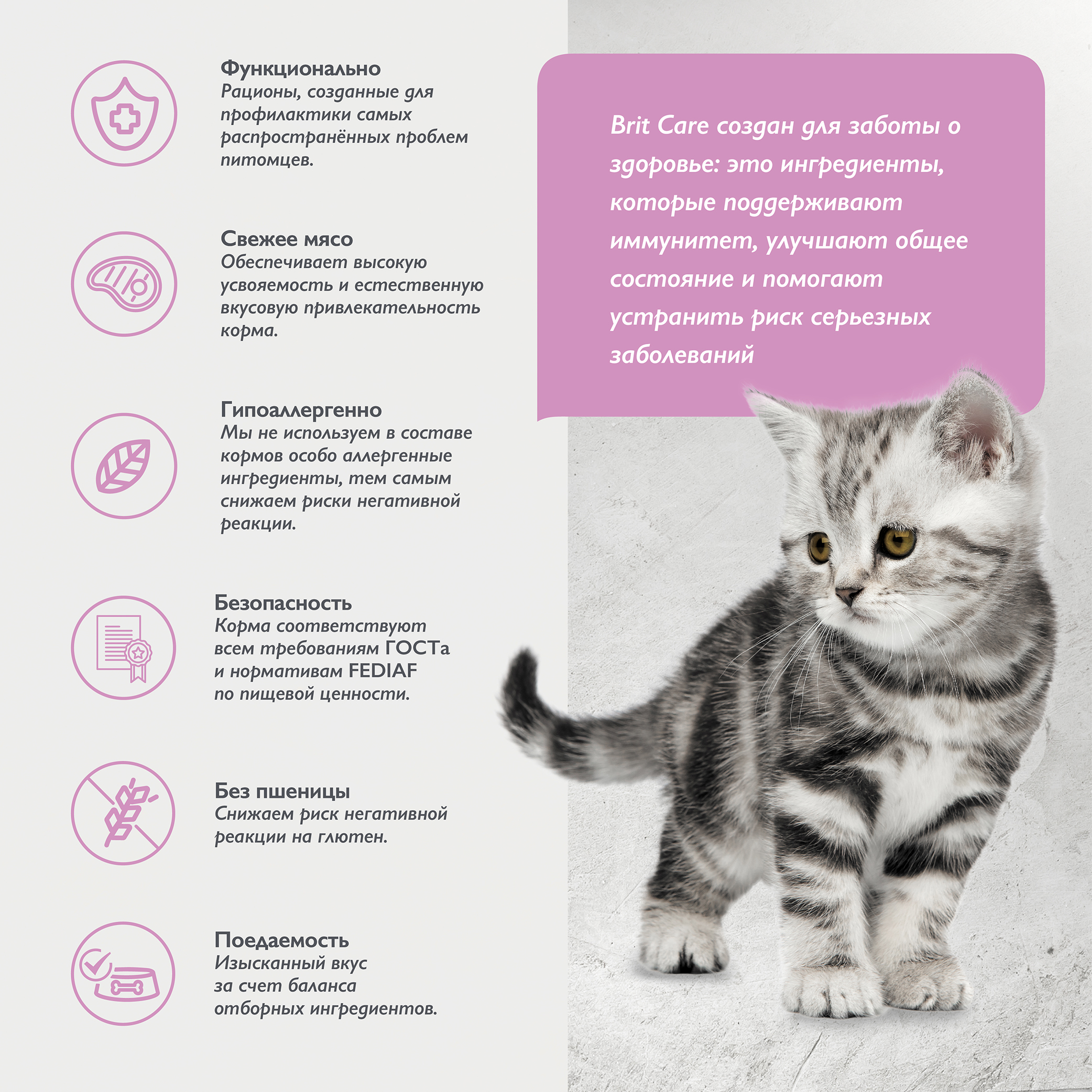 kitten_healthy growth-03