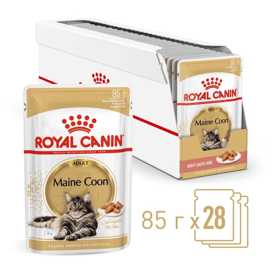 MaineCoon-Wet_Gravy_1 (3)