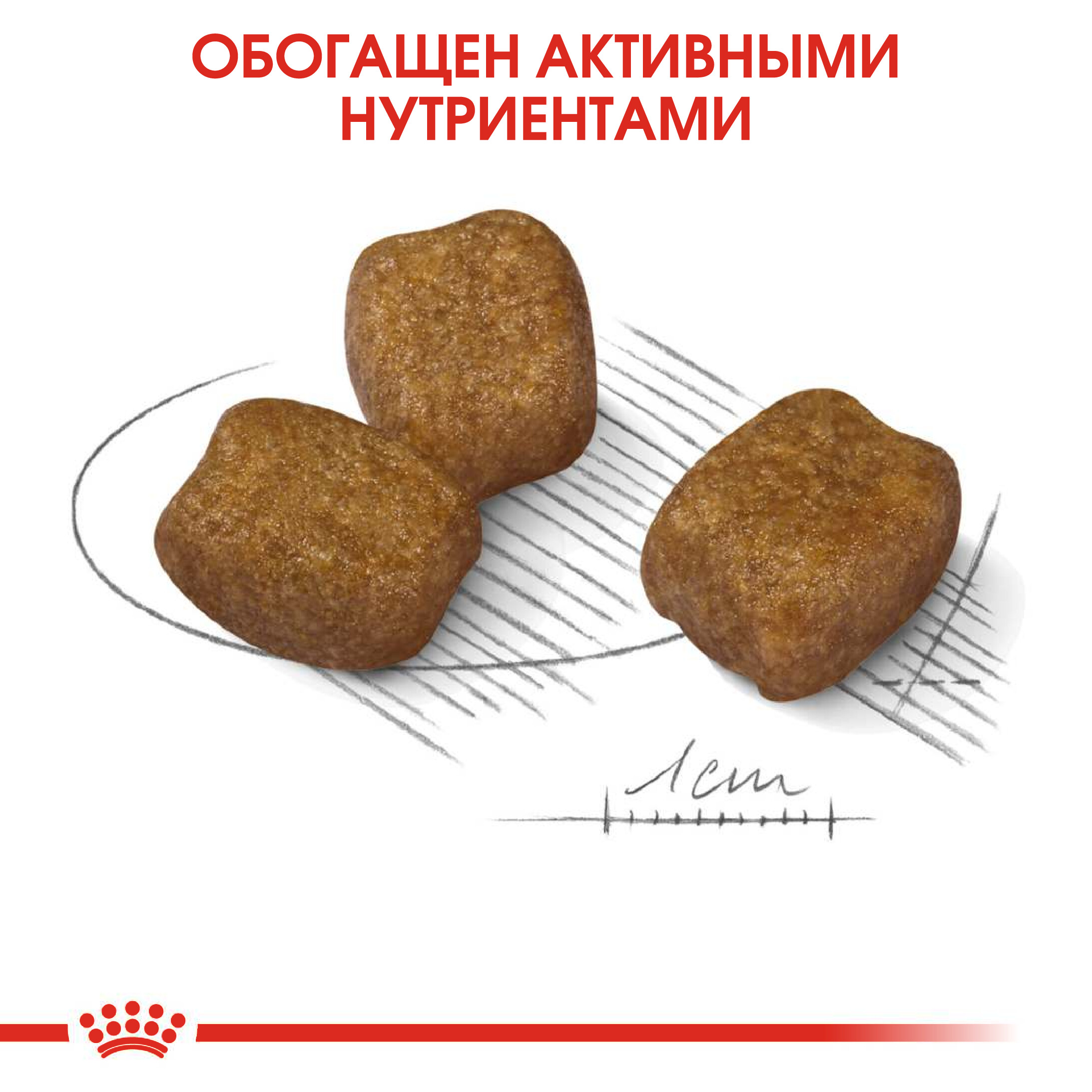 5_RC-CCN-DentalMini-CV-Eretailkit-4-fr_FR_Editable_Version_274440_rus