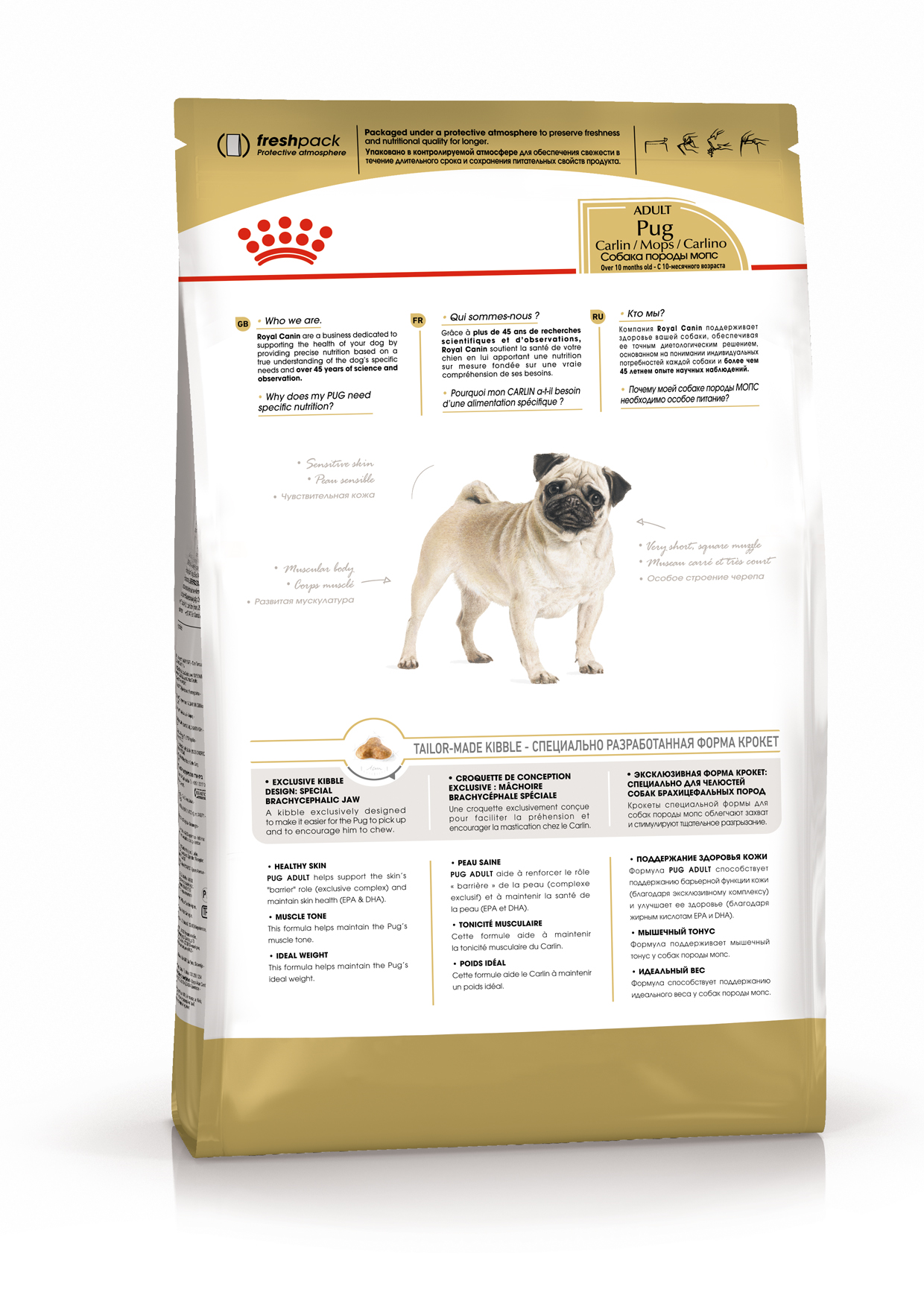 K_Pug_back