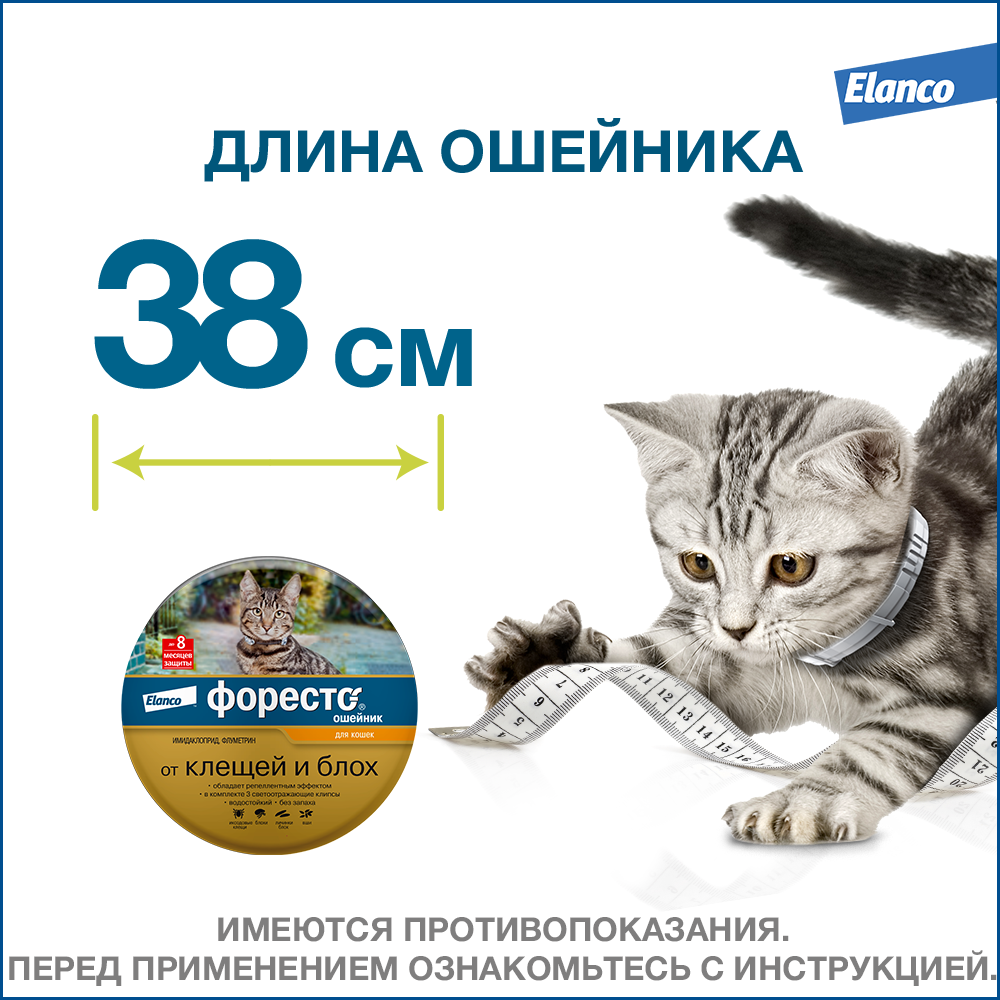 14.Foresto gold cat_length