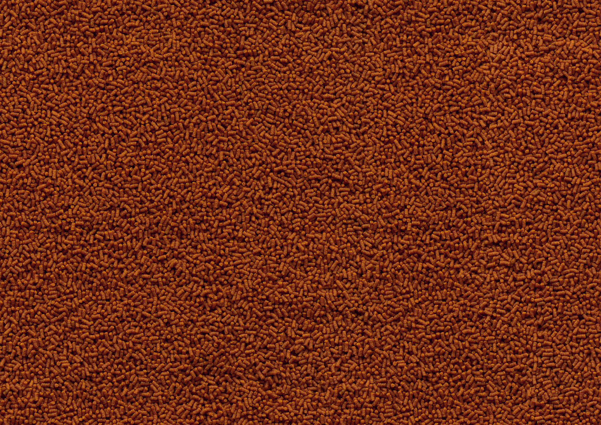 image (6)
