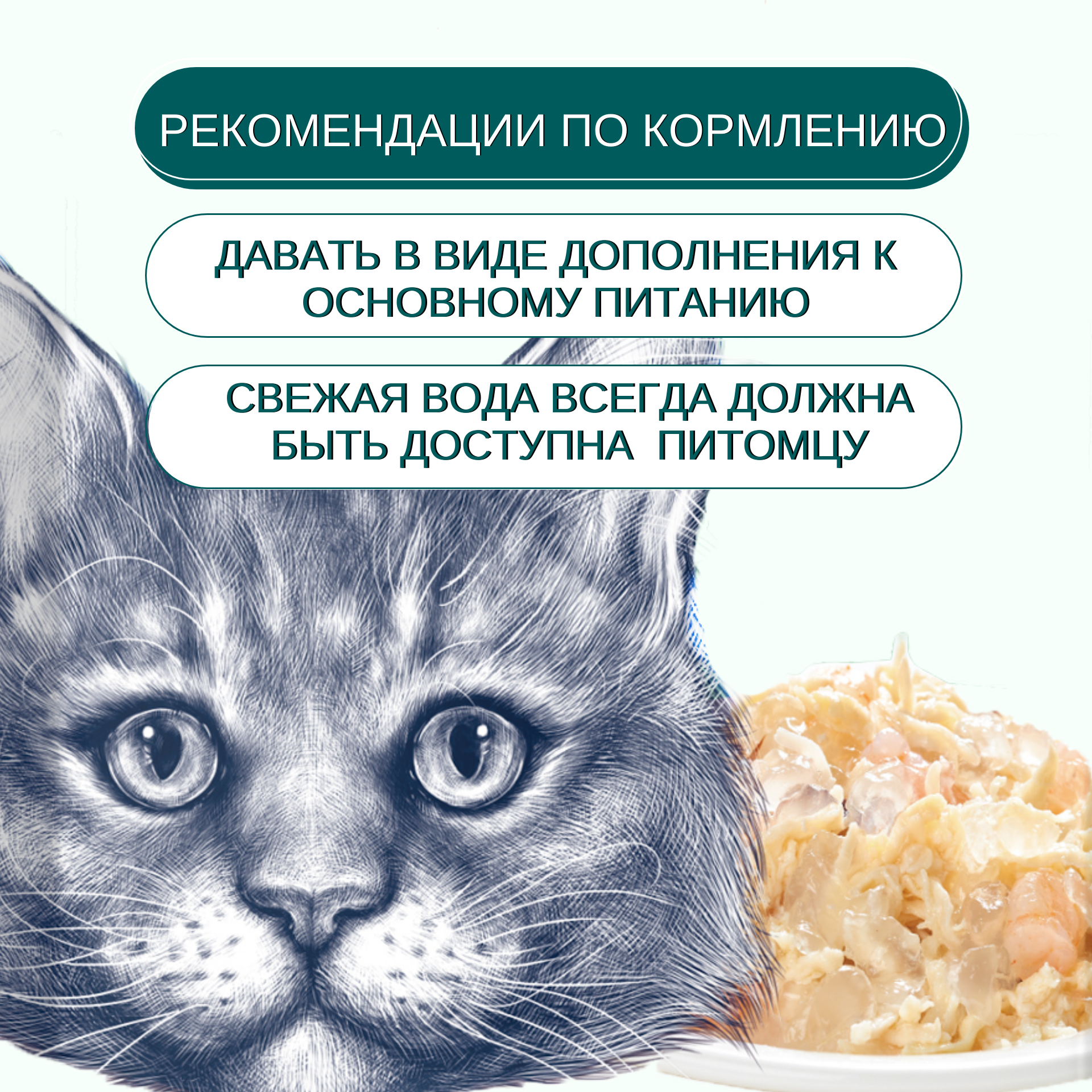 03923fb3f61d85be52e71b26ffdb2996