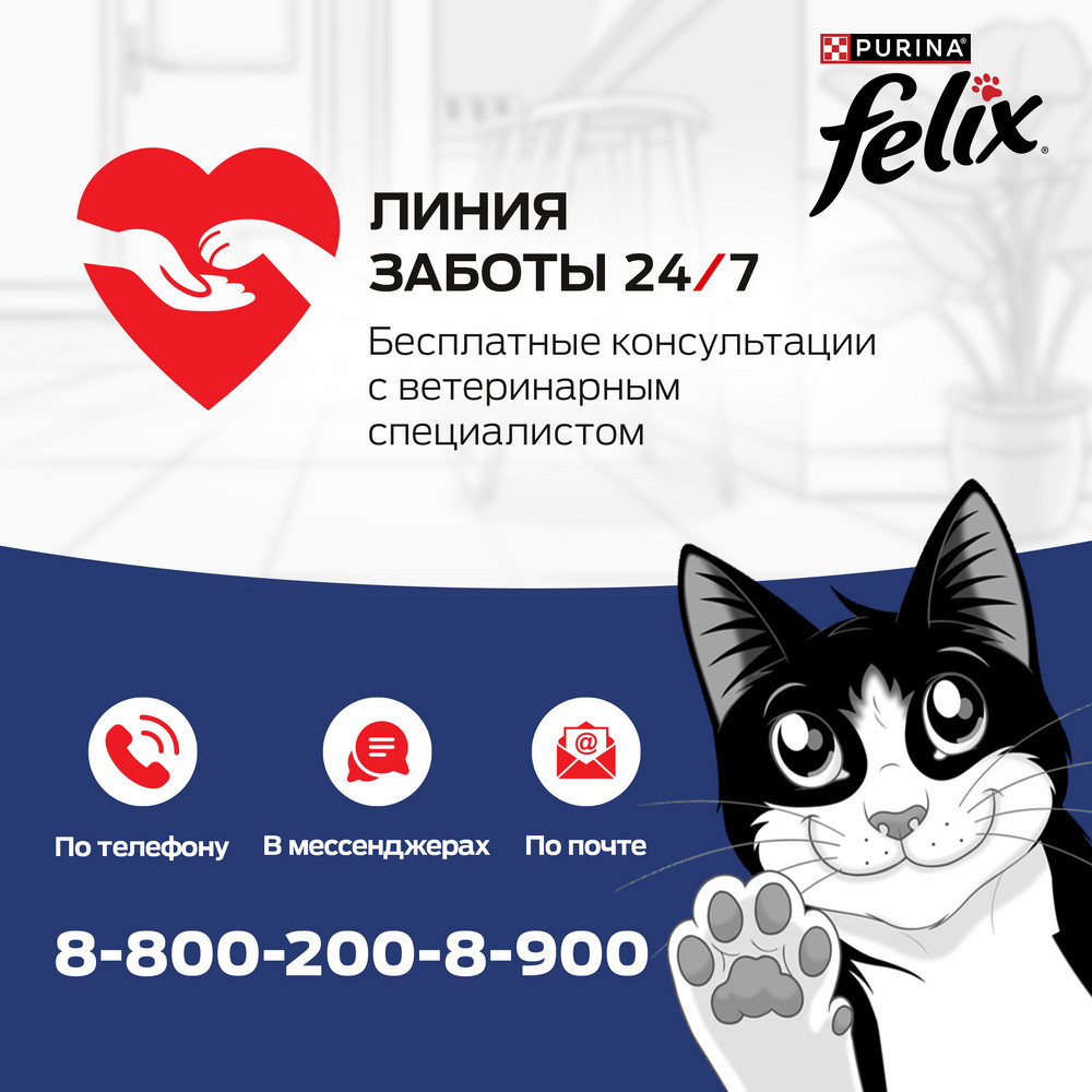 34ee04a4-b3f4-494f-bd61-c5222171ebe3 (7)