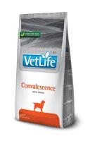 Vet Life CONVALESCENCE
