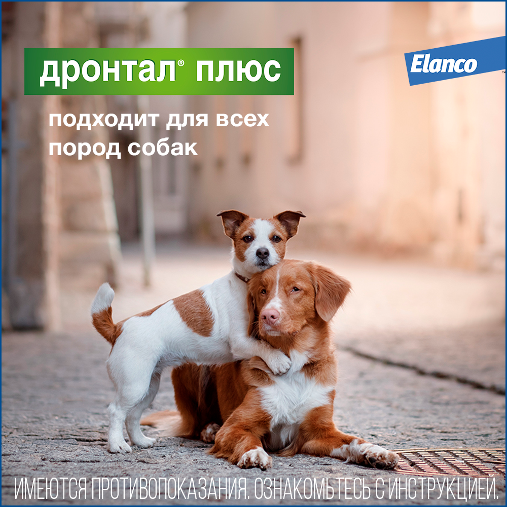 5. Drontal dog_all (1)
