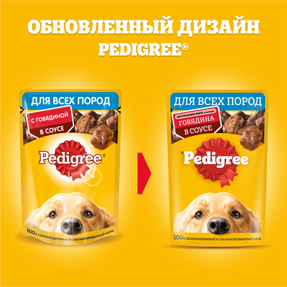 Влажный, для всех, говядина